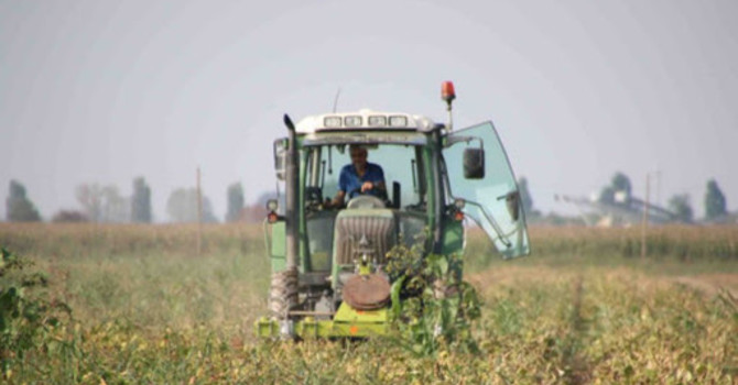 Agricoltura in difficoltà, Coldiretti Novara-Vco chiede misure straordinarie alla Regione Agricoltura in difficoltà, Coldiretti Novara-Vco chiede misure straordinarie alla Regione