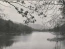 Il Comune di Borgomanero aderisce all’Associazione Ecomuseo del Lago D’Orta e Mottarone come Socio sostenitore