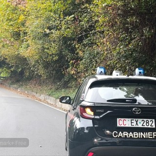 Tenta di sfuggire alle forze dell'ordine e cade in un dirupo FOTO Mattia Baù per newsbiella.it