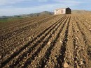Altro successo di Coldiretti: accolta la richiesta di proroga per la semina degli erbai da sovescio