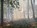 Incendi, il Piemonte regge ma l’Italia brucia: Legambiente lancia l’allarme e chiede un cambio di passo Incendi, il Piemonte regge ma l’Italia brucia: Legambiente lancia l’allarme e chiede un cambio di passo