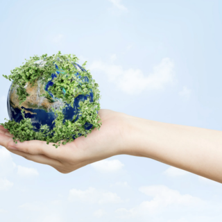 Il Piemonte lavora a sei proposte di legge per tutelare meglio l'ambiente