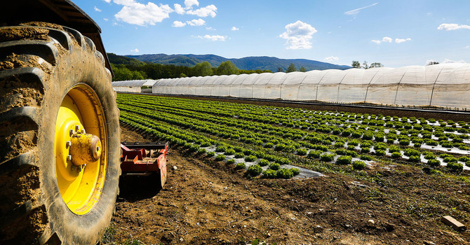 Agricoltura, Bongioanni: "Otto milioni di euro a disposizione del Piemonte per abbattere i costi del gasolio"