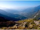 Alpeggi a secco, animali verso valle con un mese di anticipo Alpeggi a secco, animali verso valle con un mese di anticipo