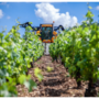 Nuove misure di sostegno per le aziende agroalimentari del Piemonte