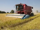 Marco Protopapa (Lega): “Difendere l’agricoltura italiana dalle derive ideologiche della nuova Pac europea” Marco Protopapa (Lega): “Difendere l’agricoltura italiana dalle derive ideologiche della nuova Pac europea”