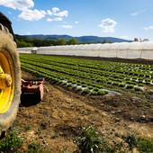 “Giovani in campo per coltivare comunità”: al via il nuovo progetto di Servizio Civile Agricolo