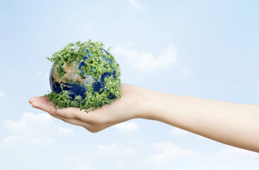 Il Piemonte lavora a sei proposte di legge per tutelare meglio l'ambiente