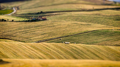 Agricoltura, partono gli incontri territoriali Cia su Pac e PSR Agricoltura, partono gli incontri territoriali Cia su Pac e PSR