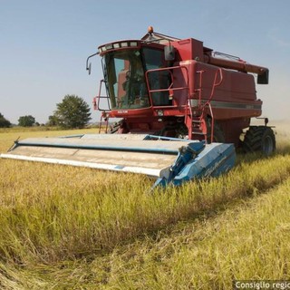 Caporalato in agricoltura, la Commissione Legalità: “Fenomeno complesso, servono interventi strutturali”