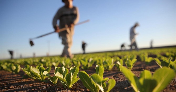 "Gli agricoltori non sono inutili, garantiscono cibo e presidiano il territorio"