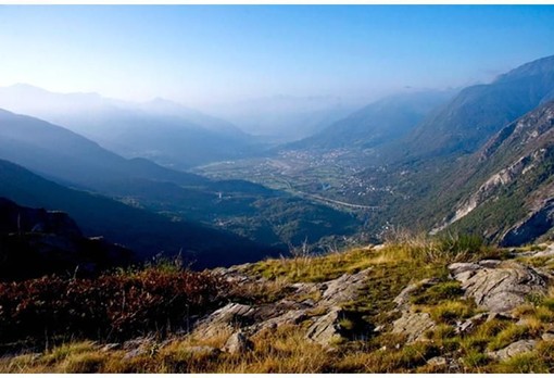 Alpeggi a secco, animali verso valle con un mese di anticipo Alpeggi a secco, animali verso valle con un mese di anticipo
