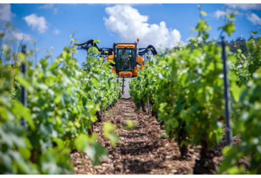 Nuove misure di sostegno per le aziende agroalimentari del Piemonte