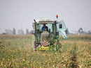 Dalla regione 9 milioni di euro per lo sviluppo delle aziende agricole