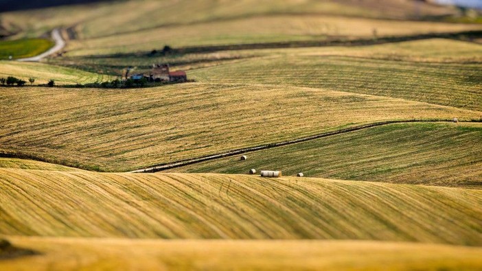 Giornata della Terra, Coldiretti: "Scomparsi in Piemonte 2,4 campi da calcio al giorno" Giornata della Terra, Coldiretti: "Scomparsi in Piemonte 2,4 campi da calcio al giorno"