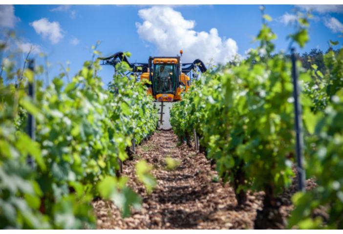 Coldiretti Piemonte: sbloccati 55 milioni per la gestione del rischio nelle imprese agricole