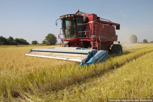Marco Protopapa (Lega): “Difendere l’agricoltura italiana dalle derive ideologiche della nuova Pac europea”