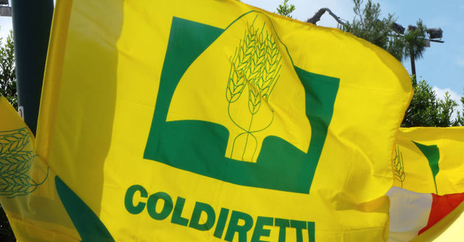 Carne e prodotti animali dal Brasile, dal 3 settembre scatta lo stop europeo Carne e prodotti animali dal Brasile, dal 3 settembre scatta lo stop europeo