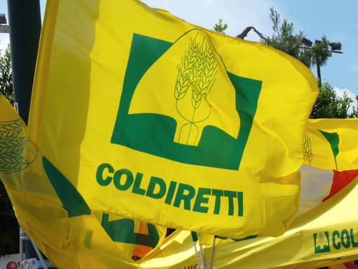 Coldiretti Novara-Vco: +23% costi colpiscono aziende agricole e spesa