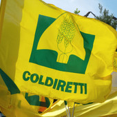 Carne e prodotti animali dal Brasile, dal 3 settembre scatta lo stop europeo