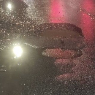 Buche e strade deteriorate, il Movimento 5 Stelle chiede conto all'amministrazione