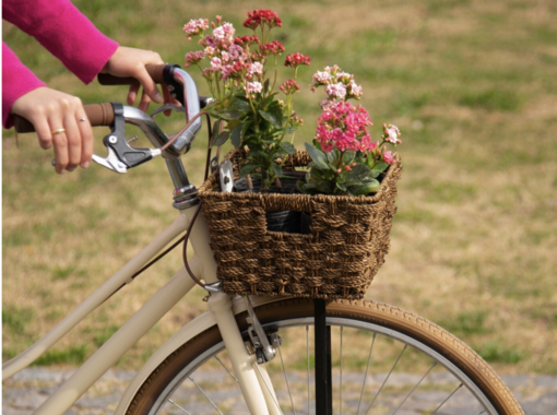 Torna ad Arona l'evento 'Biciclette in fiore' con una pedalata addobbata