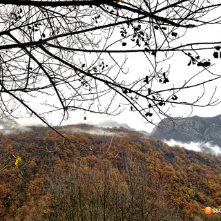 Foreste, 12 milioni di euro per la gestione sostenibile dei boschi piemontesi