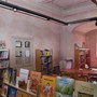 “Voci della natura”, ripartono da Galliate i laboratori del Cisa Ovest Ticino per i più piccoli e le famiglie