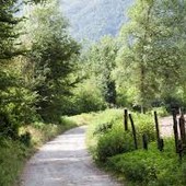 Novara, “Magica lucciolata” nel bosco di Agognate