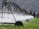 30 milioni per strutture irrigue, agricole e di bonifica: aperto il bando per gli investimenti in Piemonte