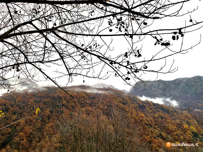 Foreste, 12 milioni di euro per la gestione sostenibile dei boschi piemontesi