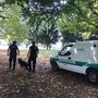 Sicurezza, nasce in Piemonte la prima rete regionale di unità cinofile per la Polizia locale