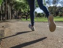 Nasce la nuova Consulta Comunale dello Sport Nasce la nuova Consulta Comunale dello Sport