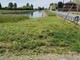 A Cerano avviato lo sfalcio delle aree pubbliche A Cerano avviato lo sfalcio delle aree pubbliche