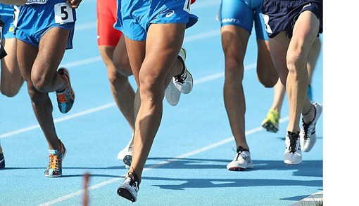 Saranno premiati a villa Cicogna gli sportivi del Novarese