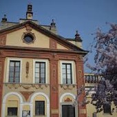 “Alberi Parlanti” al Conservatorio Cantelli: la musica pianistica incontra la natura e la biodiversità urbana “Alberi Parlanti” al Conservatorio Cantelli: la musica pianistica incontra la natura e la biodiversità urbana