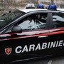 Incendio boschivo a Nebbiuno, denunciato imprenditore per smaltimento illecito di rifiuti