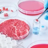 Cibo prodotto in laboratorio, Coldiretti Novara-Vco: “Restano dubbi su sicurezza e sostenibilità”
