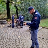 Novara, controlli nella zona rossa: 184 persone identificate, un arresto e una denuncia per spaccio