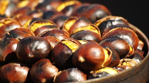 Castagne, il superfood d’autunno: in Piemonte produzione in crescita e qualità ottima Castagne, il superfood d’autunno: in Piemonte produzione in crescita e qualità ottima