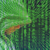 Intelligence italiana, al via il reclutamento: si cercano nuovi 007