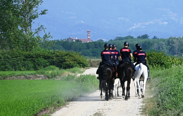 Maxi-servizio straordinario contro lo spaccio nei boschi biellesi, in azione anche i Carabinieri a cavallo FOTO e VIDEO Maxi-servizio straordinario contro lo spaccio nei boschi biellesi, in azione anche i Carabinieri a cavallo FOTO e VIDEO