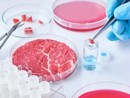 Carne artificiale, Coldiretti: "L'opposizione alla legge va contro la scienza e la salute dei citadini" Carne artificiale, Coldiretti: "L'opposizione alla legge va contro la scienza e la salute dei citadini"