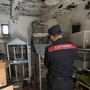 Borgo Ticino, vendeva animali esotici su Facebook: sequestrati 27 esemplari