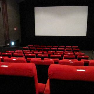 Cineforum di Arona: uno sguardo sul mondo
