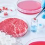 Cibo prodotto in laboratorio, Coldiretti Novara-Vco: “Restano dubbi su sicurezza e sostenibilità”
