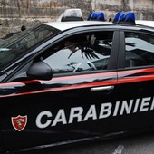 Incendio boschivo a Nebbiuno, denunciato imprenditore per smaltimento illecito di rifiuti
