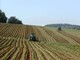 Il progetto di agroecologia sociale il Borgo Verde cresce ancora