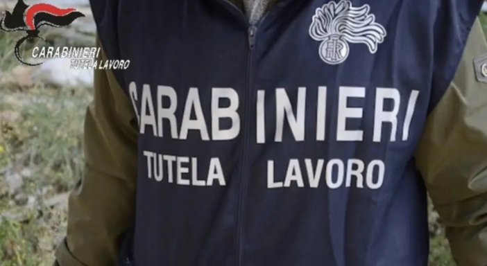 Decreto Flussi, indagine nel Novarese: sospetto giro di sfruttamento di lavoratori stranieri Decreto Flussi, indagine nel Novarese: sospetto giro di sfruttamento di lavoratori stranieri