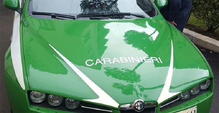Fuoristrada sul Mottarone: due motociclisti sanzionati e una denuncia per resistenza a pubblico ufficiale Fuoristrada sul Mottarone: due motociclisti sanzionati e una denuncia per resistenza a pubblico ufficiale